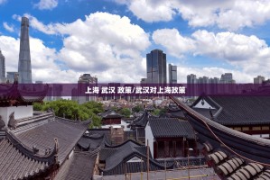 上海 武汉 政策/武汉对上海政策