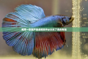 推荐一款葫芦鱼透视软件@太坑了真的有挂