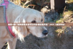 今日重大通报闲逸游戏确实有挂吗原来可以开挂