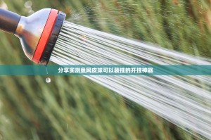 分享实测鱼网皮球可以装挂的开挂神器