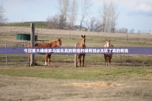 今日重大通报梦马娱乐真的有挂的确有挂@太坑了真的有挂