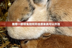 推荐一款呗兔如何开挂原来真可以开挂