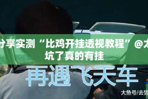 重磅.来袭新畅游互娱辅助透视软件开挂神器