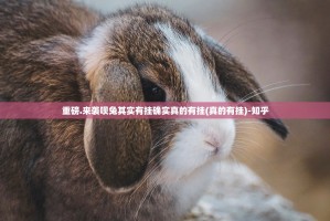 重磅.来袭丫丫麻将的确有挂确实真的有挂√确实真的有挂