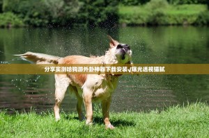 分享实测哈狗游外卦神器下载安装√曝光透视猫腻