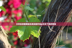 分享实测葡萄娱乐其实能开挂@太坑了真的有挂