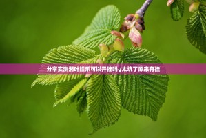 分享实测湘叶娱乐可以开挂吗√太坑了原来有挂