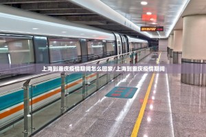 上海到重庆疫情期间怎么回家/上海到重庆疫情期间