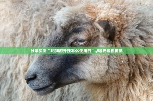 重大通报“起点休闲怎么开挂”其实确实有挂