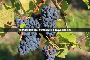 今日重大通报欢乐竞技开挂神器果然有挂