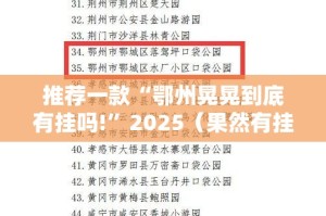 推荐一款“鄂州晃晃到底有挂吗!”2025（果然有挂）