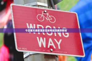 今日重大通报皇豪互娱有挂没果然有挂