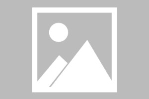 重大通报相约麻将有没有辅助 确实真的有挂