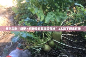 分享实测“拔萝卜有挂没有其实是有挂”√太坑了原来有挂