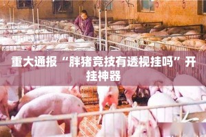 推荐一款中至窝龙真的有挂的确有挂√必胜开挂神器