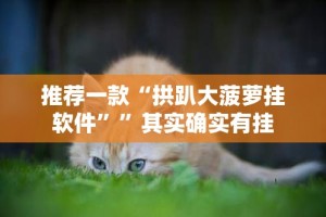 重磅.来袭斗棋红中的确有挂确实有挂其实有挂-知乎