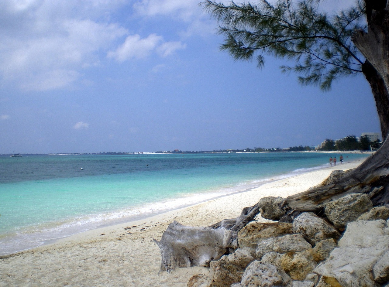 海边探索之旅，动人的海滨风情体验