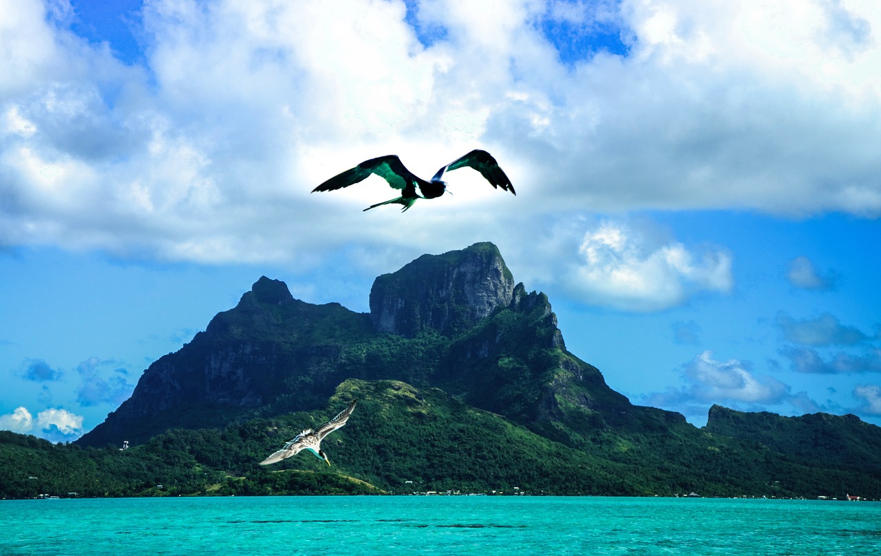 浩瀚海洋的奥秘与感悟之旅