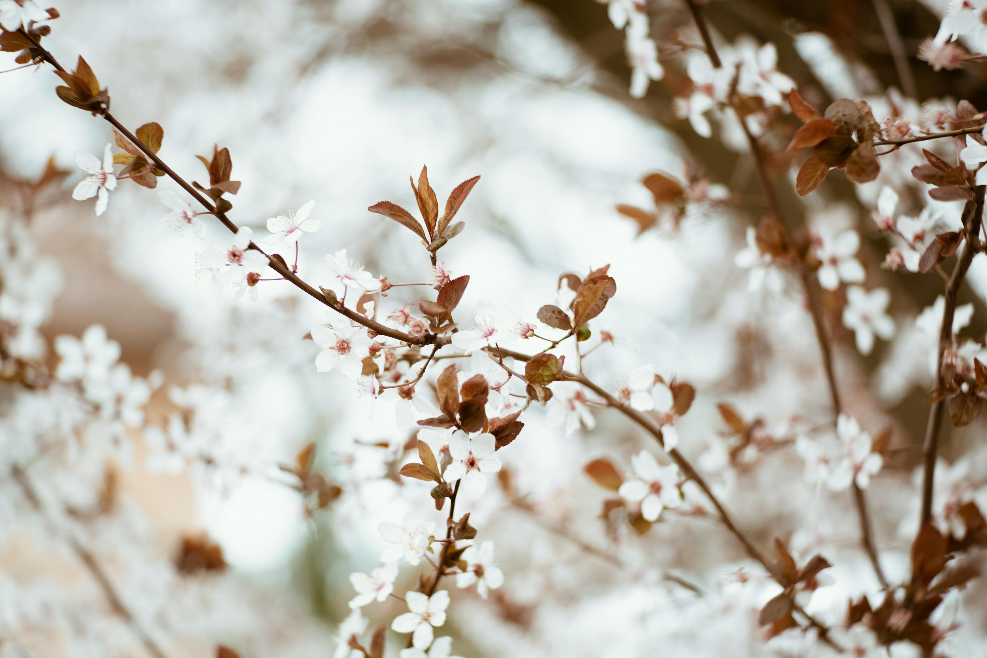 爱情，一首无法定义的旋律