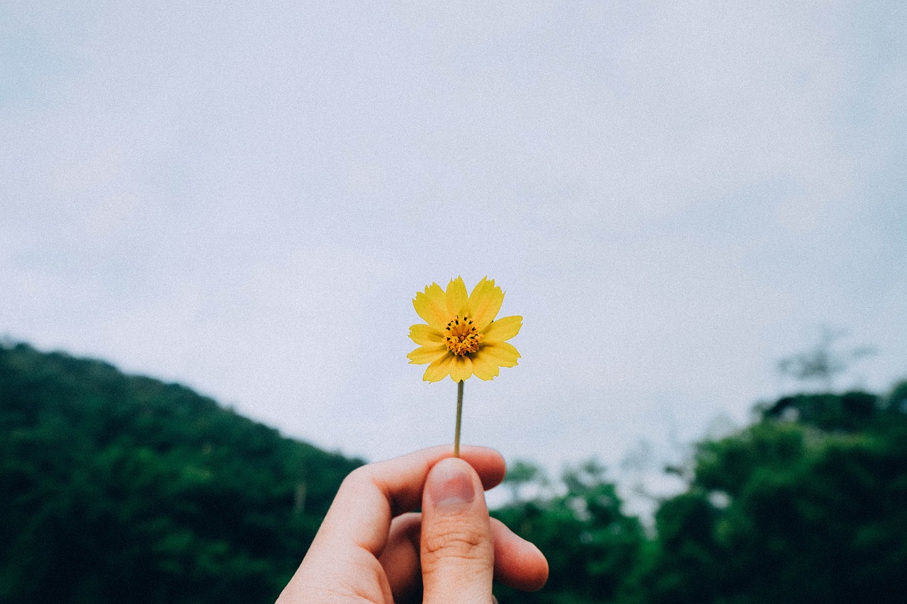 爱一个人，经典情感句子分享