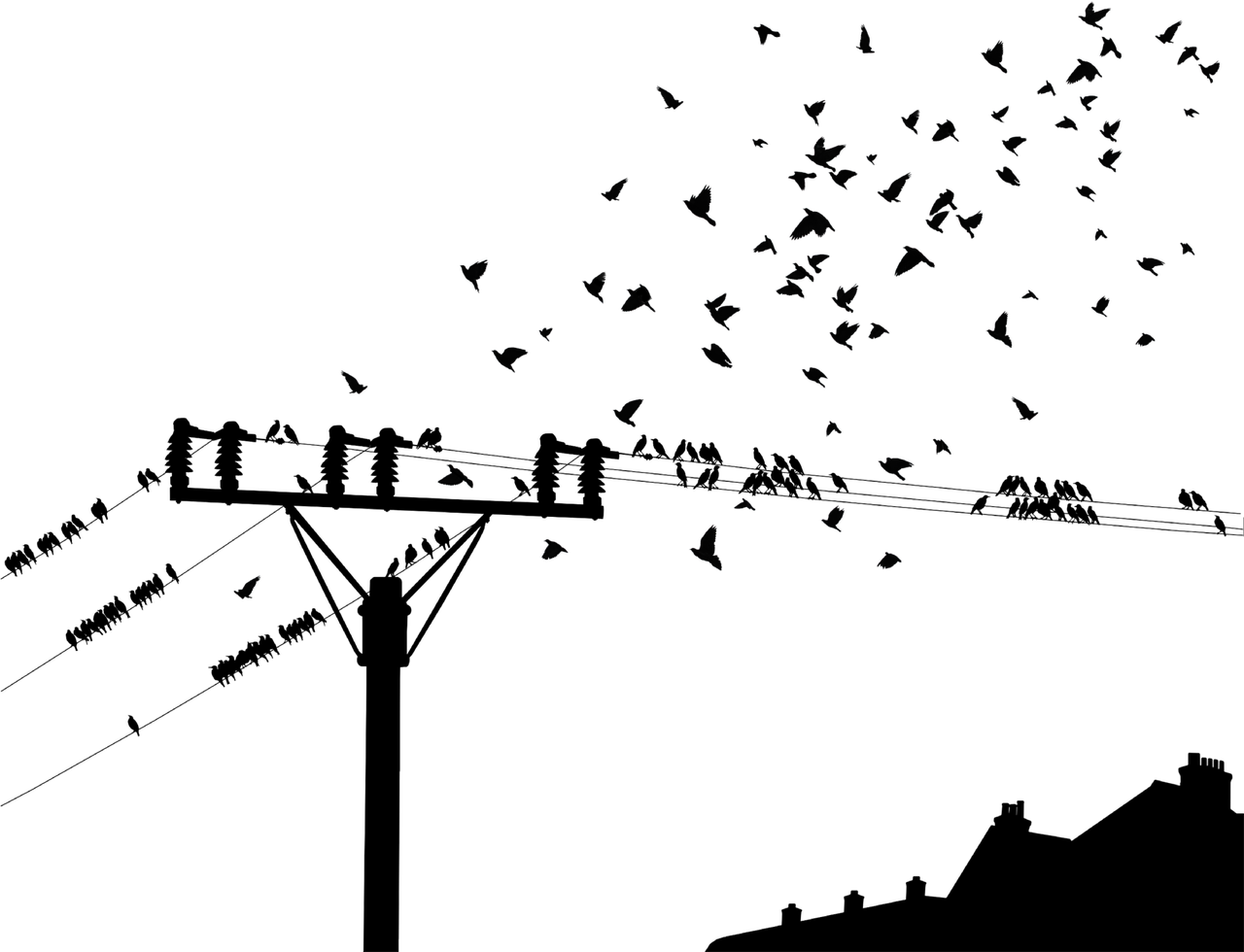 疫情时间线梳理（疫情时间线梳理图）