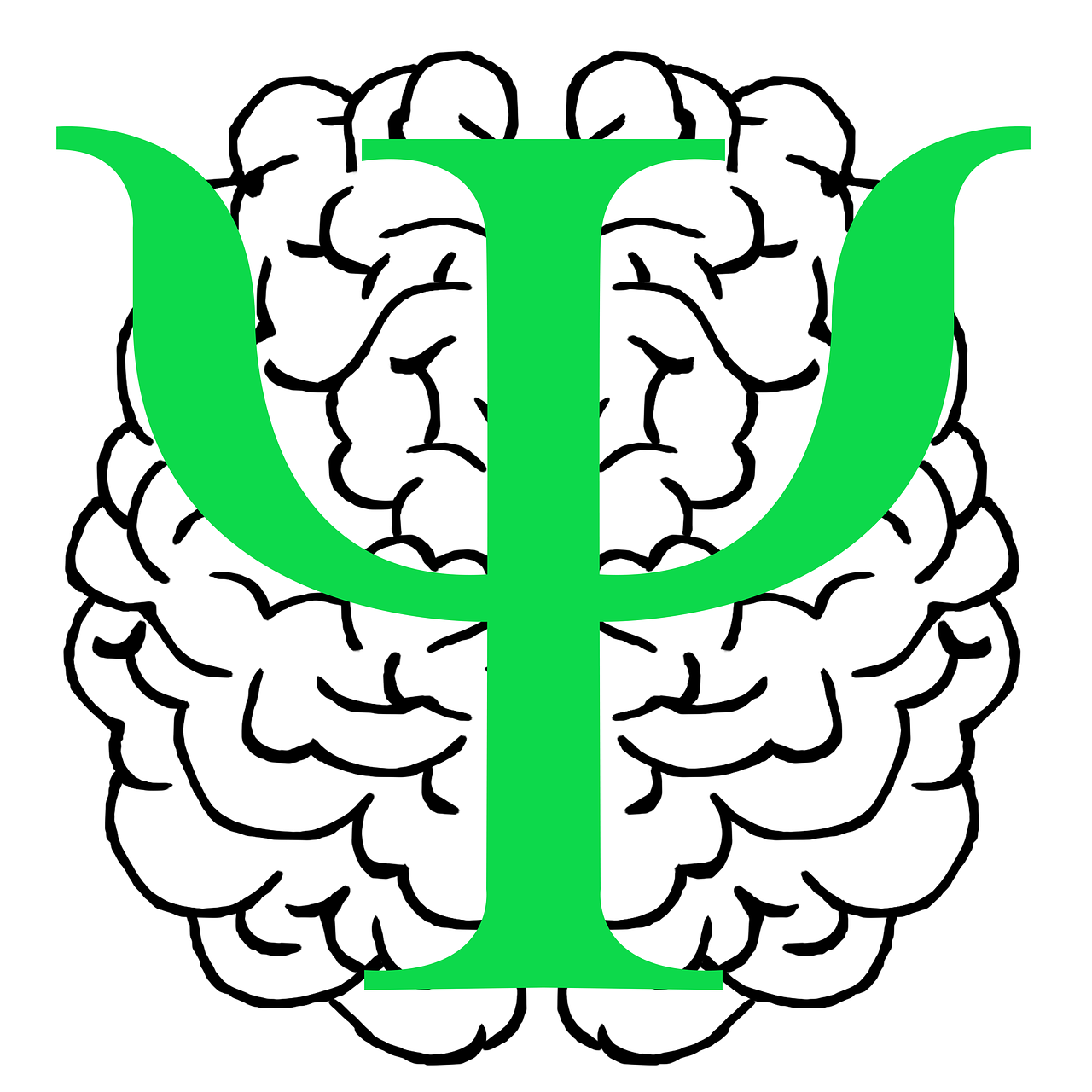 世卫组织宣布疫情影响大脑灰质层
