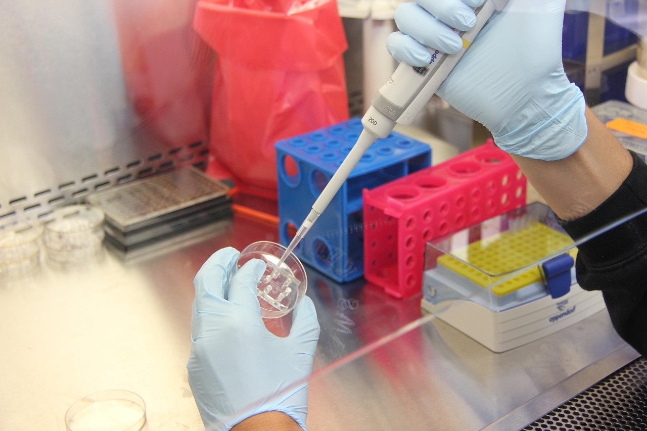 新型冠状病毒疫情英语翻译（新型冠状病毒疫情英语翻译怎么写）