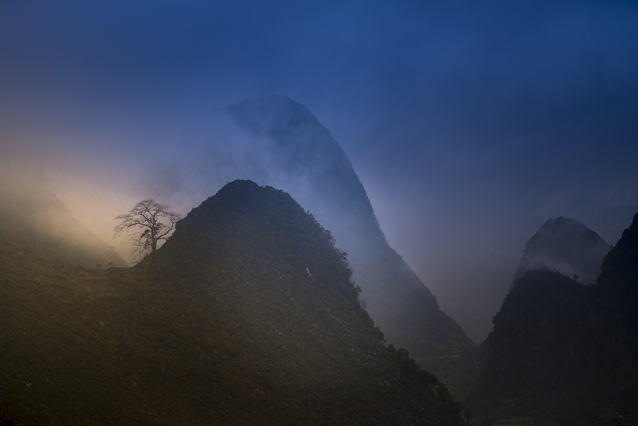 丁香园 · 疫情实时动态（丁香园疫情实时动态播报）