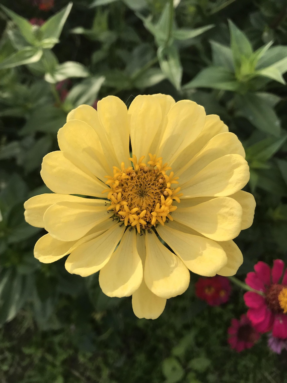 三年疫情花了国家多少钱（三年疫情花了国家多少钱补贴）