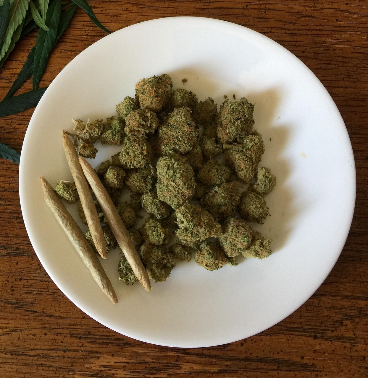 疫情最需要什么药（疫情最需要什么药材）