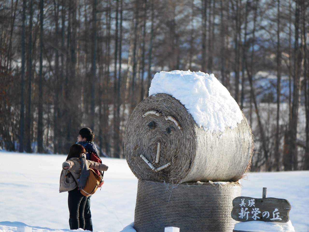 抗击疫情照片图集（抗击疫情照片图集大全）