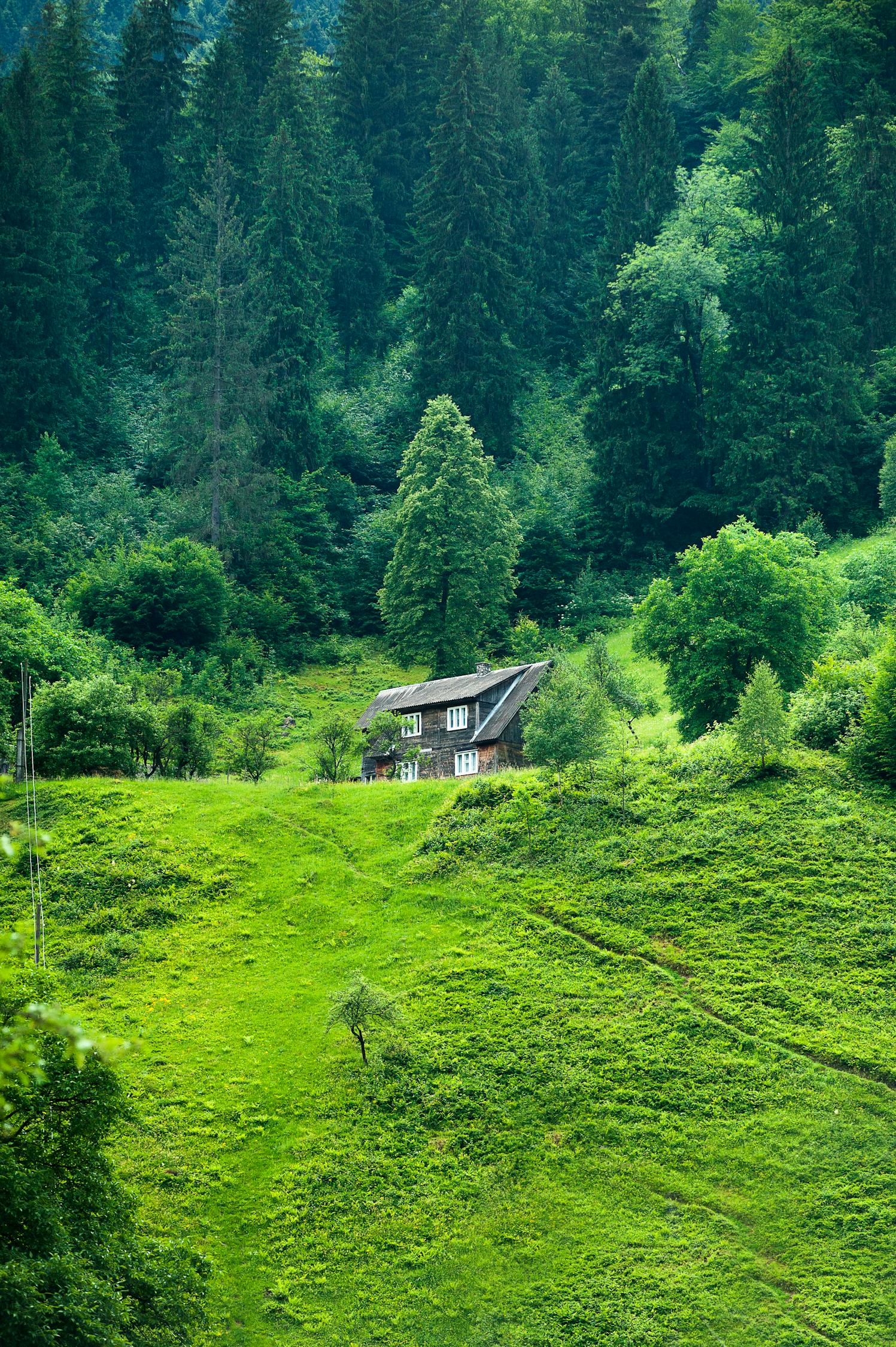 怀念疫情前的旅行句子（怀念疫情前的旅行句子简短）