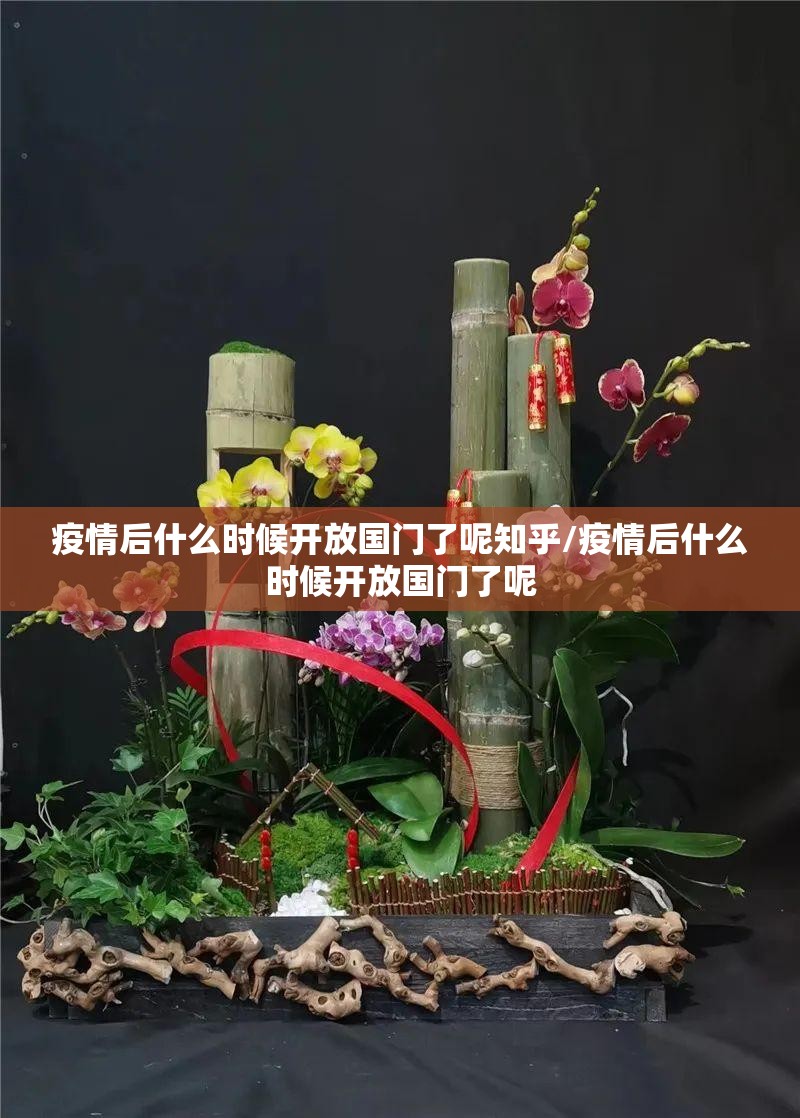 疫情后什么时候开放国门了呢知乎/疫情后什么时候开放国门了呢