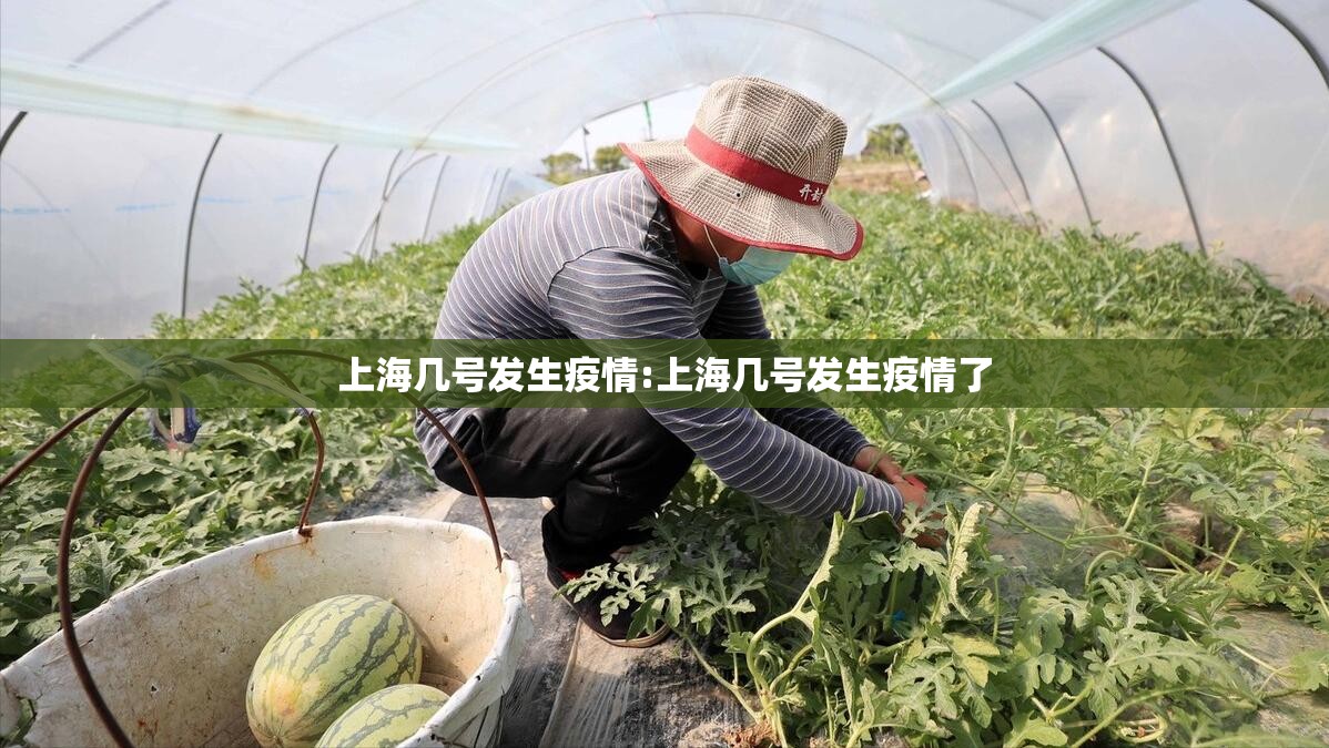 香港疫情封闭(香港疫情封闭多久) 香港疫情封闭(香港疫情封闭多久)