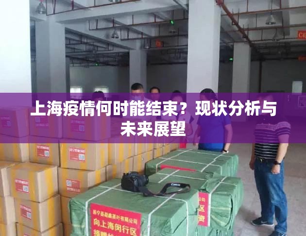 上海疫情何时能结束？现状分析与未来展望