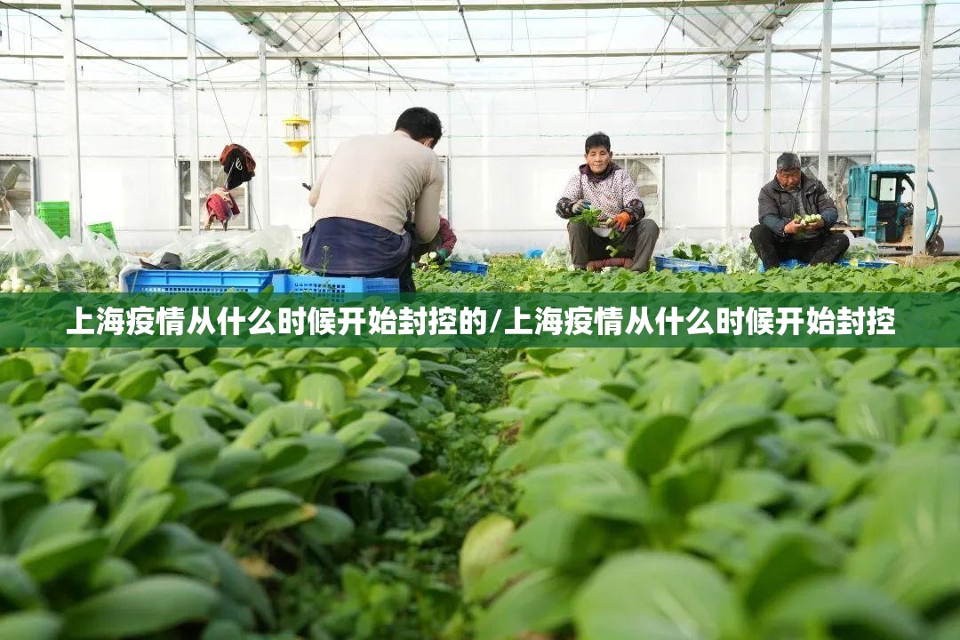重磅.来袭欢乐德州有没有辅助 原来可以开挂
