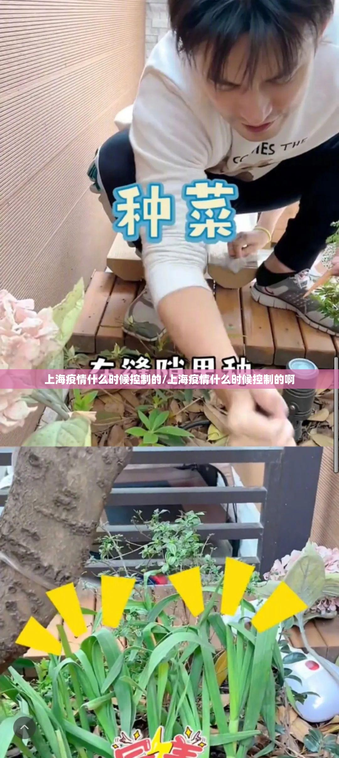 重大通报娱友乐有挂是真的原来真可以开挂