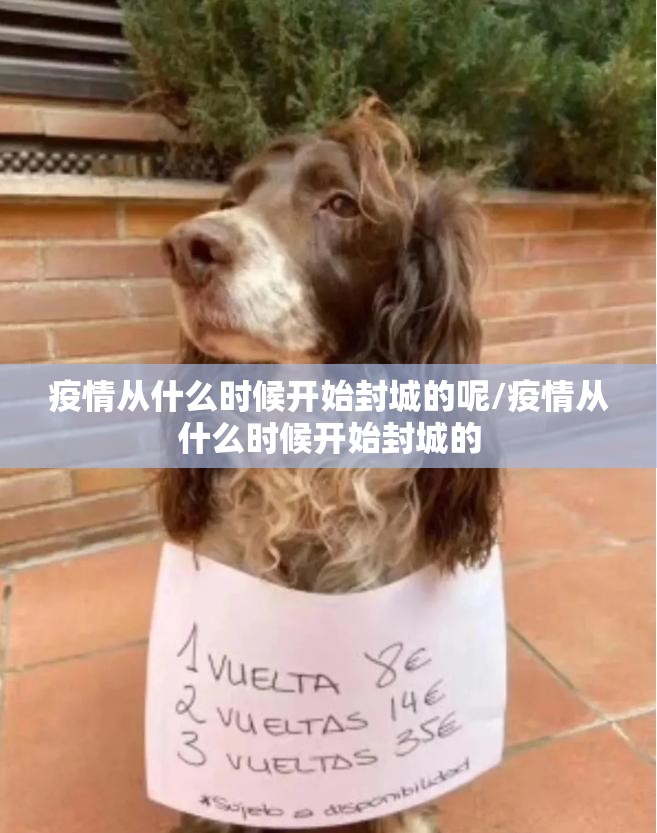 推荐一款捞腌菜怎么开挂!详细开挂教程√太坑了原来有挂 推荐一款捞腌菜怎么开挂!详细开挂教程√太坑了原来有挂