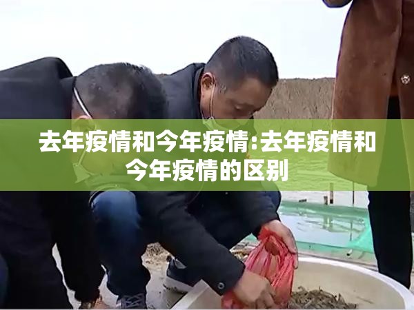 去年疫情和今年疫情:去年疫情和今年疫情的区别