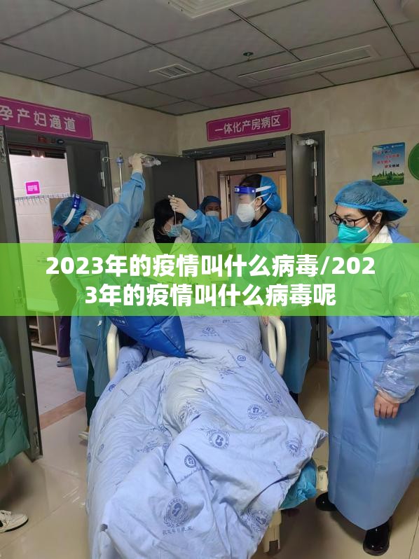 今日重大通报衡阳丫丫竞技到底真的有挂吗2025(确实有挂)