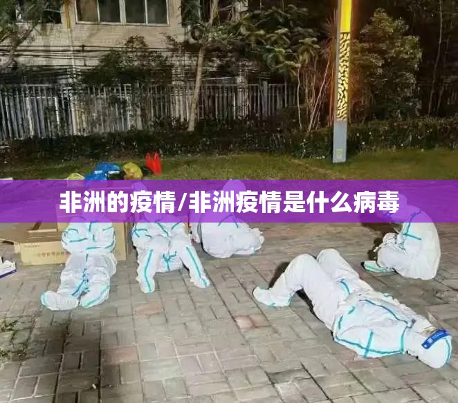 非洲的疫情/非洲疫情是什么病毒
