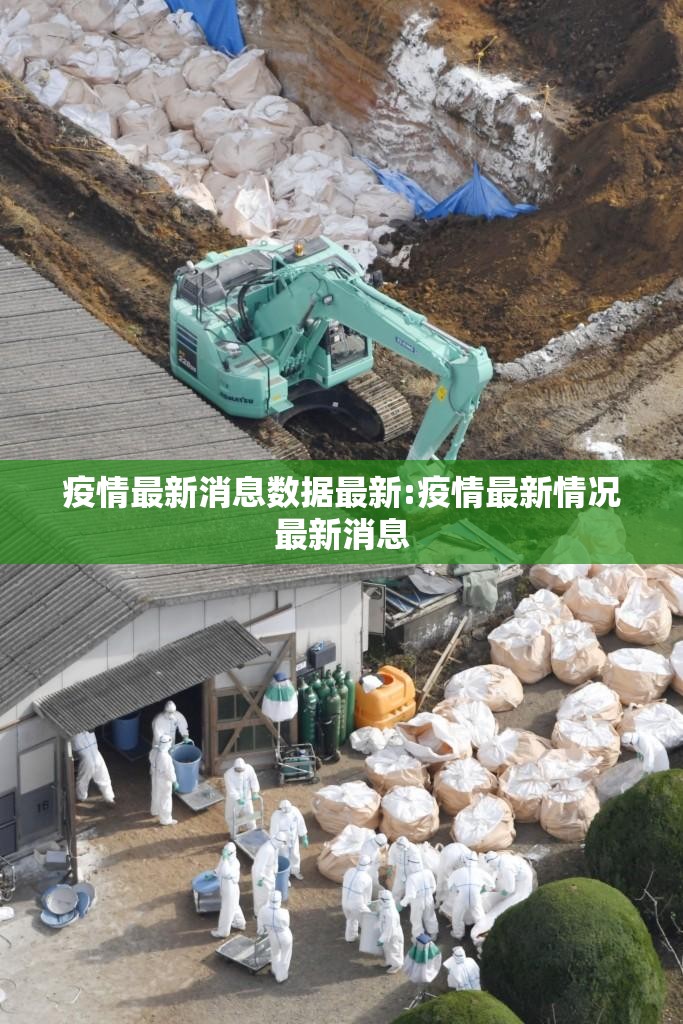 重磅.来袭随意玩开挂透视辅助软件原来真可以开挂