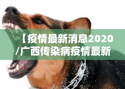 推荐一款途胜真的有挂的确有挂√曝光透视猫腻