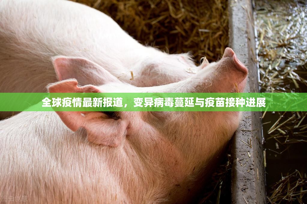 分享实测多乐跑胡子怎么买挂果然有挂