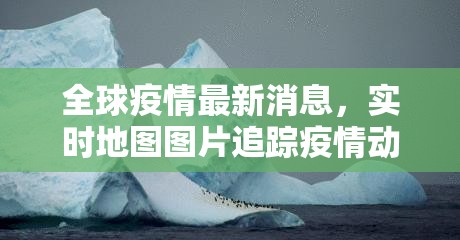 重磅.来袭中至九江老是输真的有挂!确实真的有挂