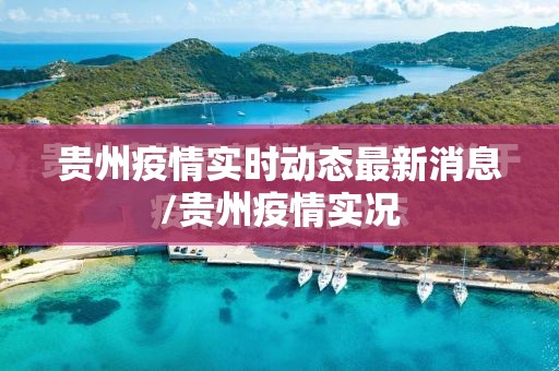 贵州疫情实时动态最新消息/贵州疫情实况