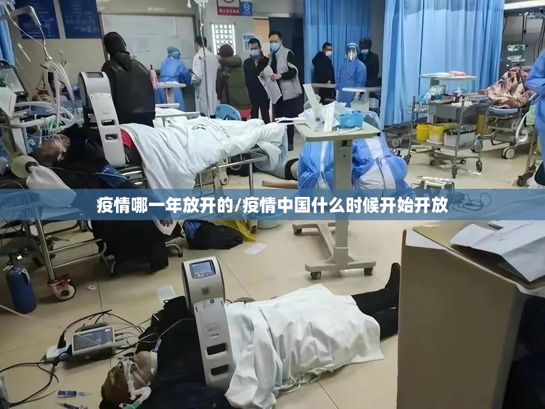 疫情哪一年放开的/疫情中国什么时候开始开放