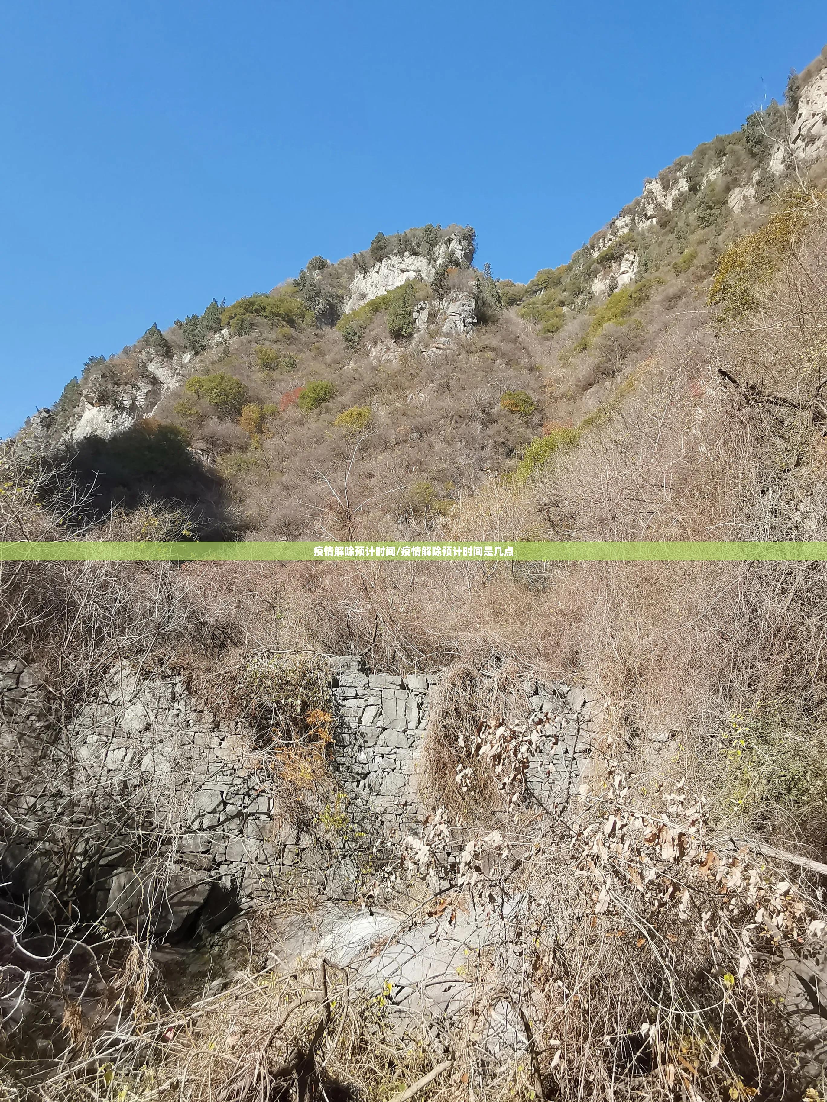 疫情解除预计时间/疫情解除预计时间是几点