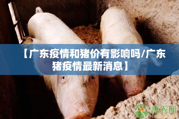 今日重大通报“微乐保皇有挂稳赢方法”√必胜开挂神器
