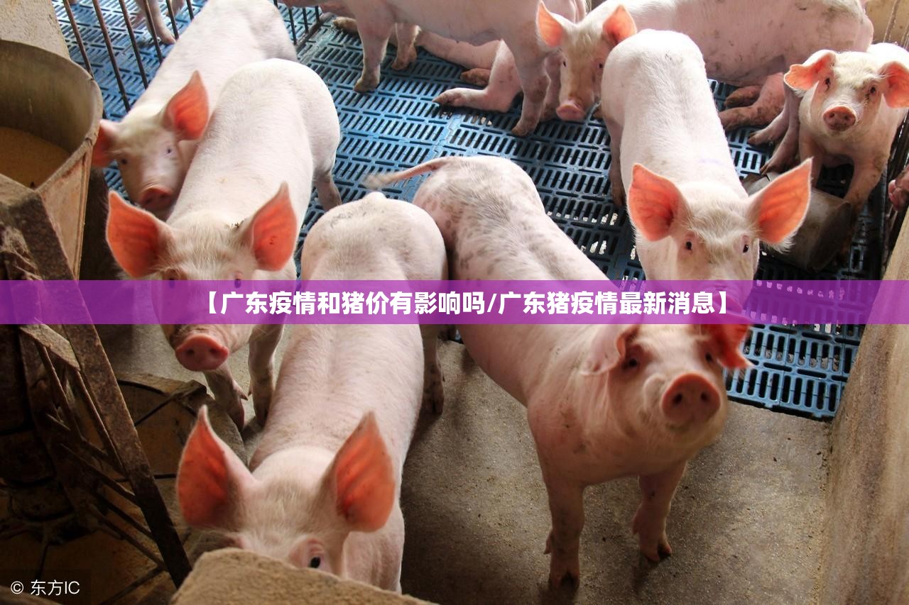 推荐一款浙江游戏大厅真的有挂的确有挂2025（果然有挂）